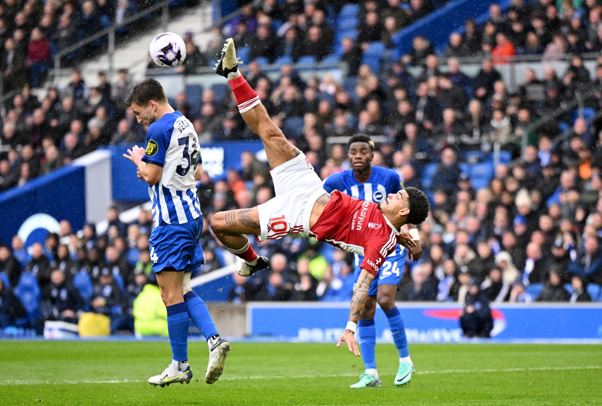 Read more about the article Brighton vs Nottingham Forest Preview: Seagulls Seek Back-to-Back Boost
